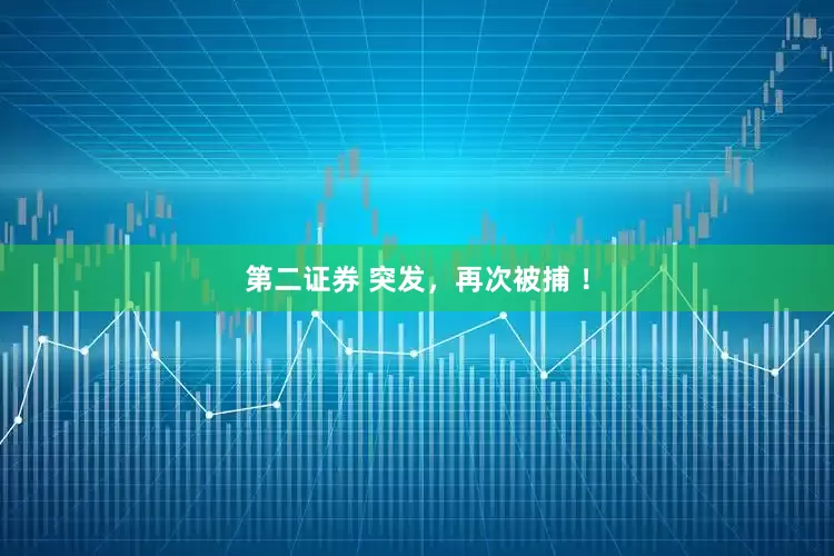 第二证券 突发，再次被捕 ！