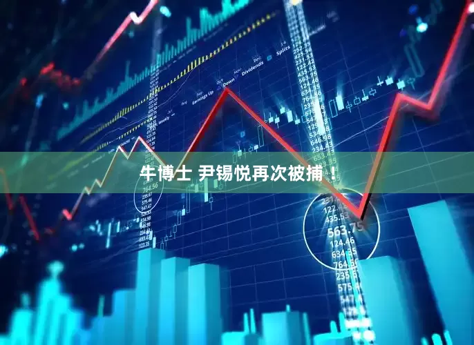 牛博士 尹锡悦再次被捕 ！