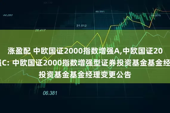 涨盈配 中欧国证2000指数增强A,中欧国证2000指数增强C: 中欧国证2000指数增强型证券投资基金基金经理变更公告