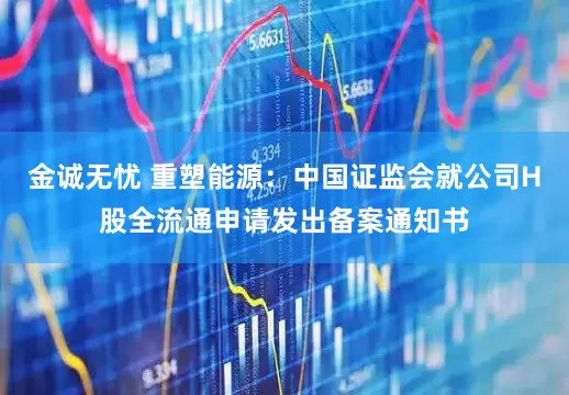 金诚无忧 重塑能源：中国证监会就公司H股全流通申请发出备案通知书